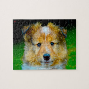 Our Shetland Sheepdog Our Family Pet Jigsaw Puzzle