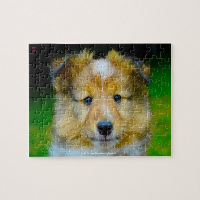 Our Shetland Sheepdog Our Family Pet Jigsaw Puzzle (Horizontal)