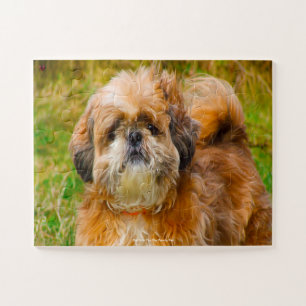 Our Shih Tzu Our Family Pet Jigsaw Puzzle