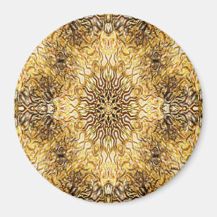 Our Sun.... Magnet