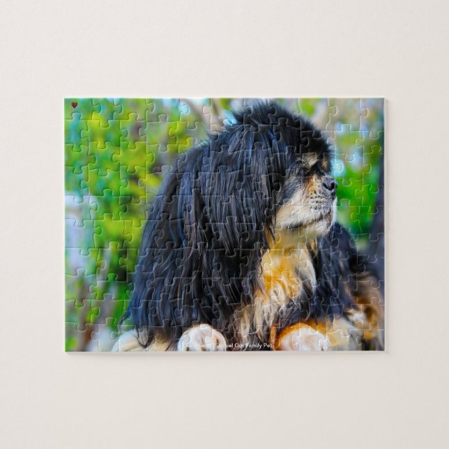 Our Tibetan Spaniel Our Family Pet Jigsaw Puzzle (Horizontal)