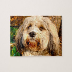 Our Tibetan Terrier Our Family Pet Jigsaw Puzzle