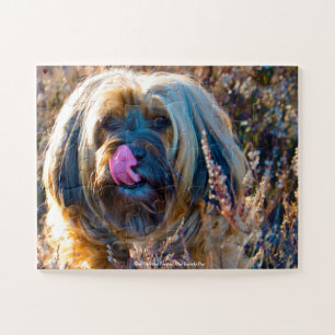 Our Tibetan Terrier Our Family Pet Jigsaw Puzzle