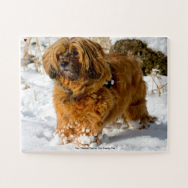Our Tibetan Terrier Our Family Pet Jigsaw Puzzle (Horizontal)