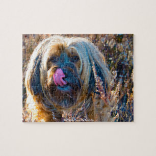 Our Tibetan Terrier Our Family Pet Jigsaw Puzzle