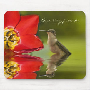 Our tiny friends. . . . mouse mat