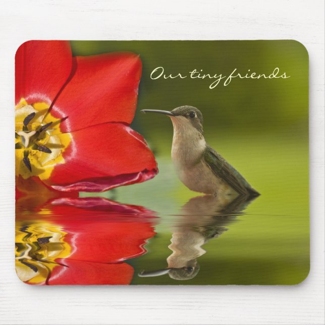 Our tiny friends. . . . mouse mat (Front)