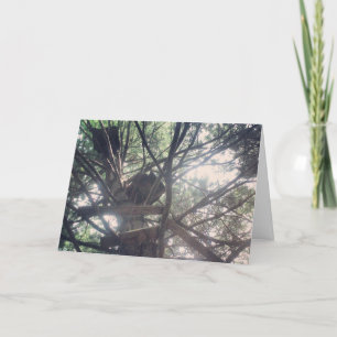 "our tree daily HOUSE LIFESTYLE" Get Well Card