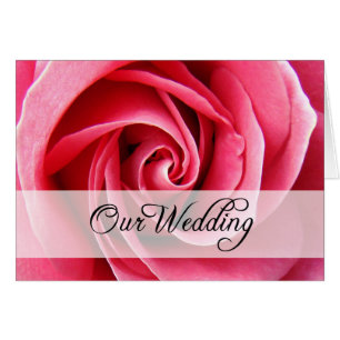 Our Wedding : Pink Rose :