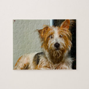 Our Westie Our Family Pet Jigsaw Puzzle