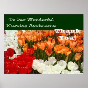 Our Wonderful Nursing Assistants posters Thank You