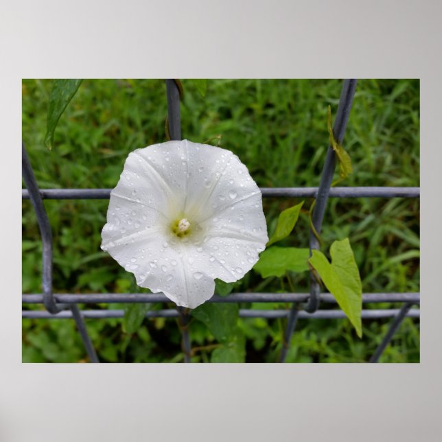 out in the rain poster (Front)
