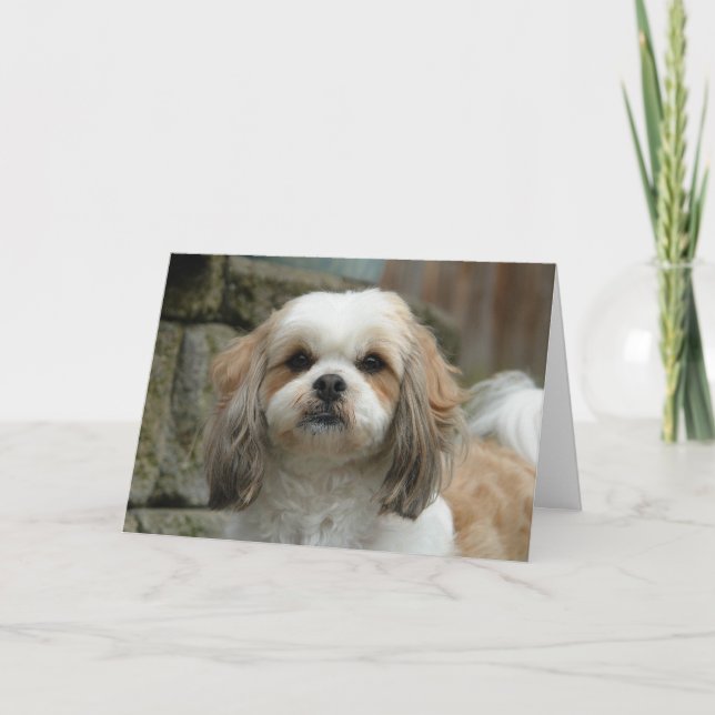 "Out of Bones" Pet Humour Greeting Card (Front)