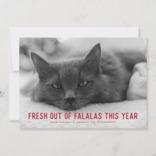 Out of Falalas Sarcastic Funny Holiday Cards