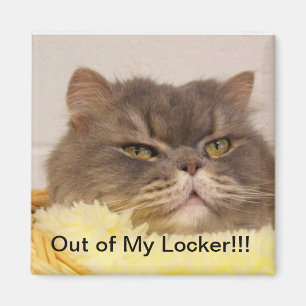 OUT OF LOCKER MAGNET