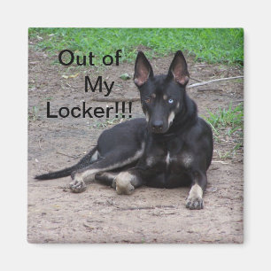 Out of my locker Magnet