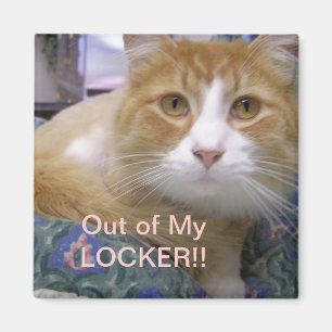 Out of my locker magnet