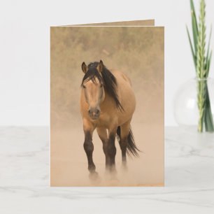 Out of the Dust Wild Horse Greeting Card