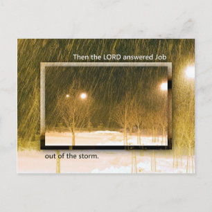 Out of the Storm Postcard