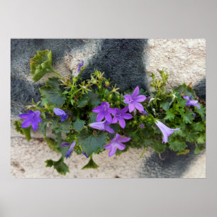 out of the wall flower poster