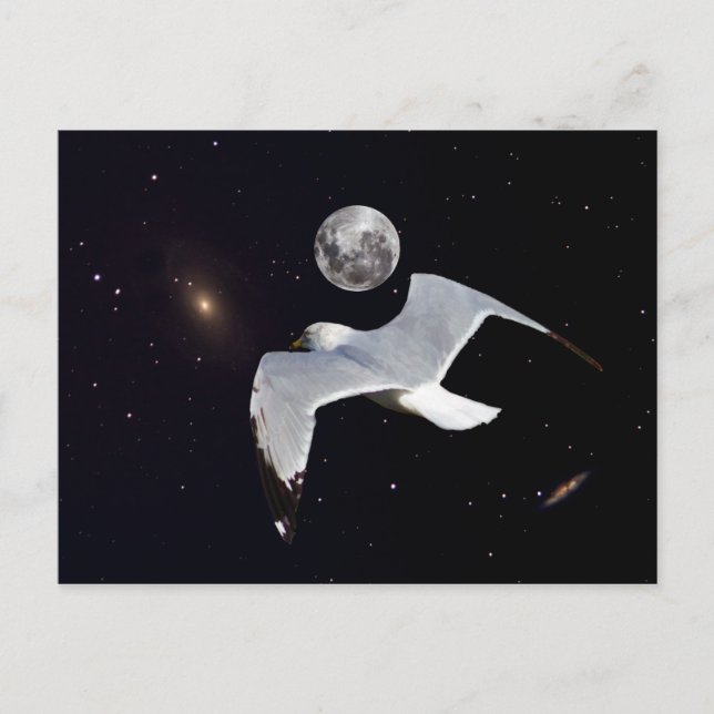 Out of This World Postcard (Front)