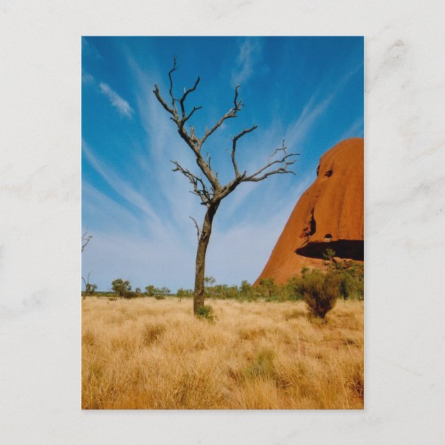 Outback Australia Postcard (Front)