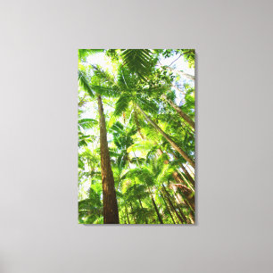 OUTBACK JUNGLE 24x36 Canvas Print