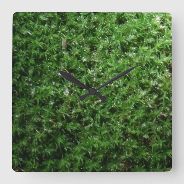Outdoor Botanical Green Ground Moss Nature Clock (Front)