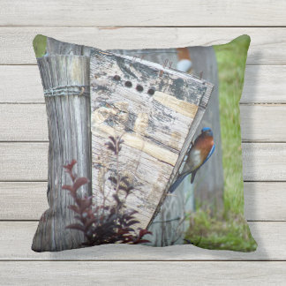 Outdoor Cushion