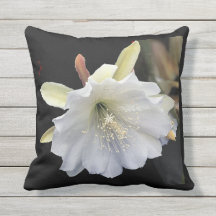 Outdoor pillow 16 x 16