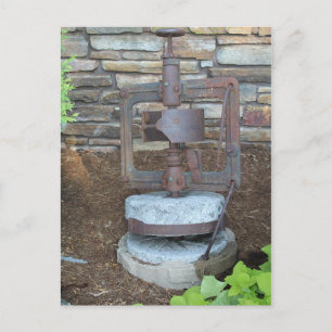 Outdoor Still-Life # 6 Postcard