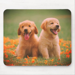 Outdoors, together, couple,dogs mouse mat