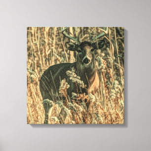 outdoorsman wilderness Camouflage whitetail deer Canvas Print