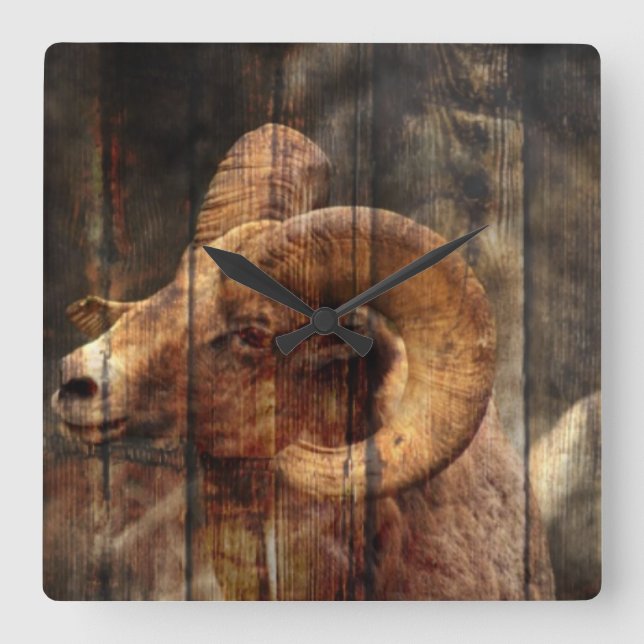outdoorsmen Primitive woodgrain mountain ram Square Wall Clock (Front)