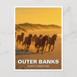 Outer Banks North Carolina Horses Travel Postcard