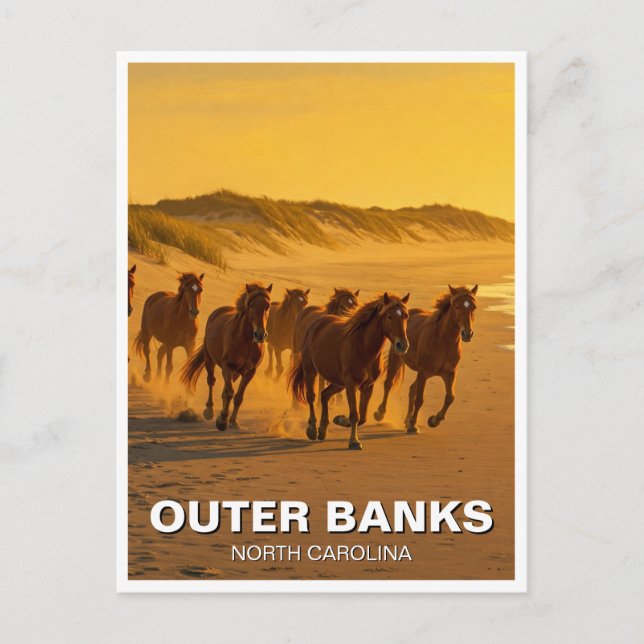 Outer Banks North Carolina Horses Travel Postcard (Front)