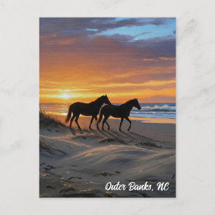 Outer Banks North Carolina Travel Postcard