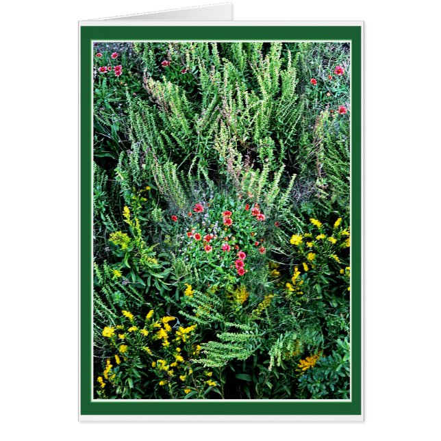 Outer Banks Wildflowers (Front)