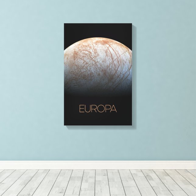 Outer Space, Cosmos, Solar System, Moon Europa Canvas Print (Insitu(Wood Floor))