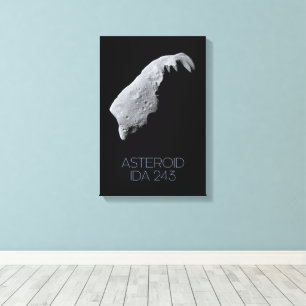 Outer Space, Solar System, Asteroid Belt, IDA 243 Canvas Print
