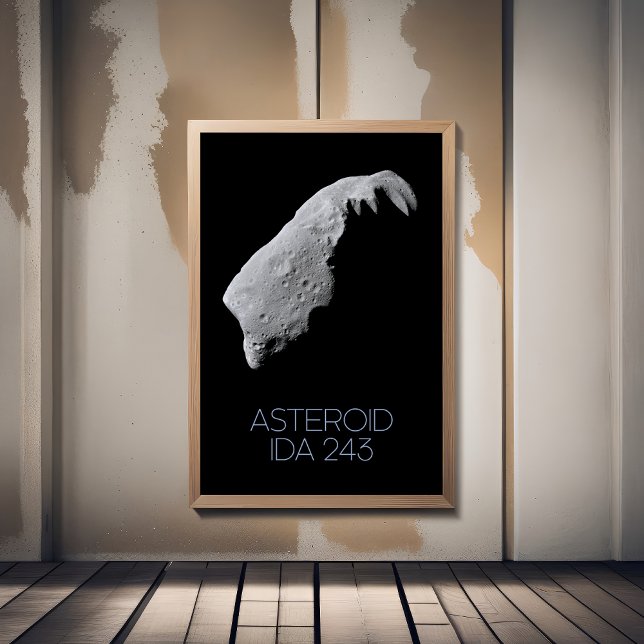 Outer Space, Solar System, Asteroid Belt, IDA 243 Photo Print (Creator Uploaded)