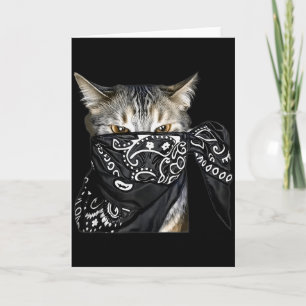 Outlaw Cat Funny Gangster Cat With Bandana  Card