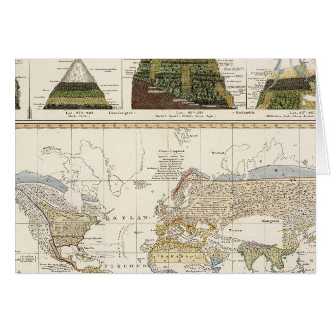 Outline of plant geography (Front Horizontal)