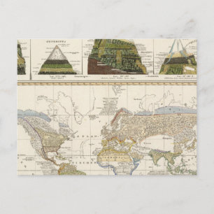 Outline of plant geography postcard