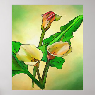 Outlined Calla Lilies Against A Green Ombre  Poster