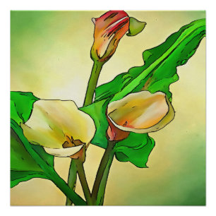 Outlined Calla Lilies Against A Green Ombre Poster