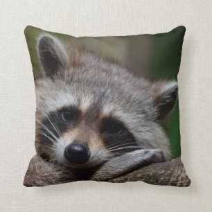 Outrageously Cute Baby Racoon Cushion