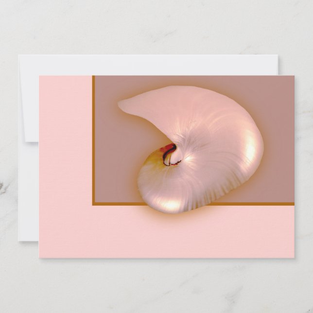 Outside  Nautilus (Front)