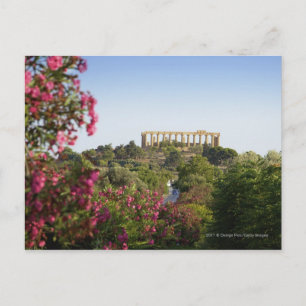 Outside The Valley Of The Temples Postcard