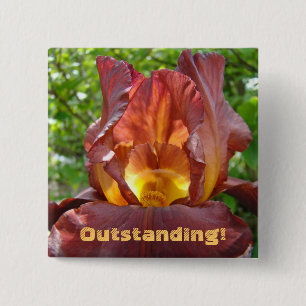 Outstanding! button Iris Flowers School Teachers